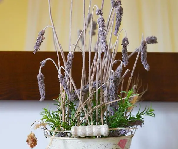 Pensionat Hospederia Virgen De La Fuente Peñarroya de Tastavins